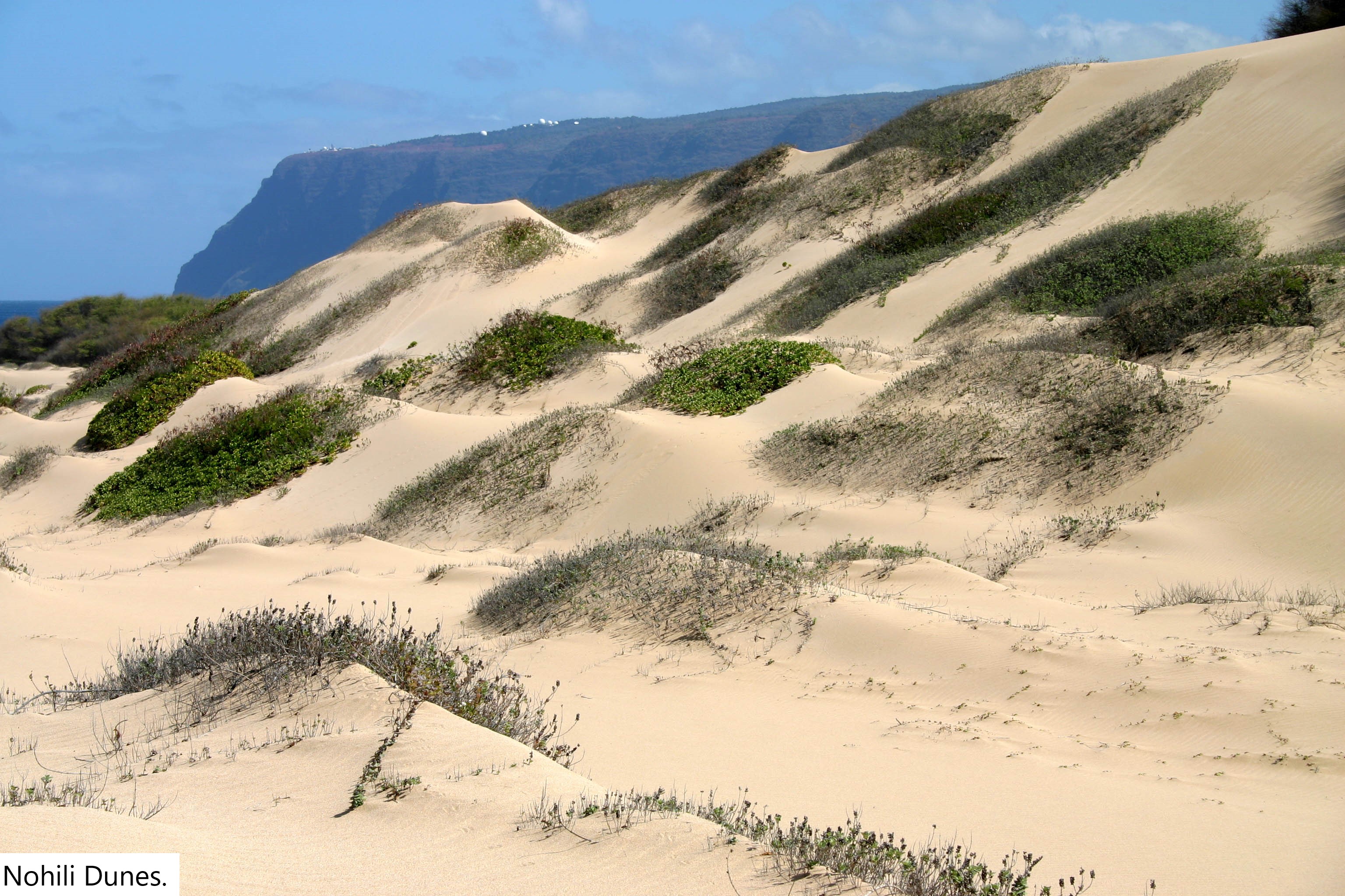 Nohili Dunes